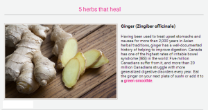 5 Herbs That Heal